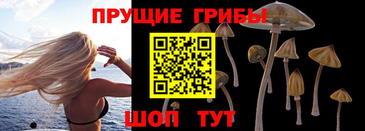 Псилоцибиновые грибы мухоморы  Вход с VPN  Сарапул 