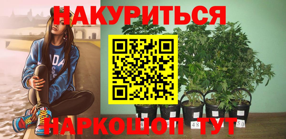 Канабис гибрид Сарапул